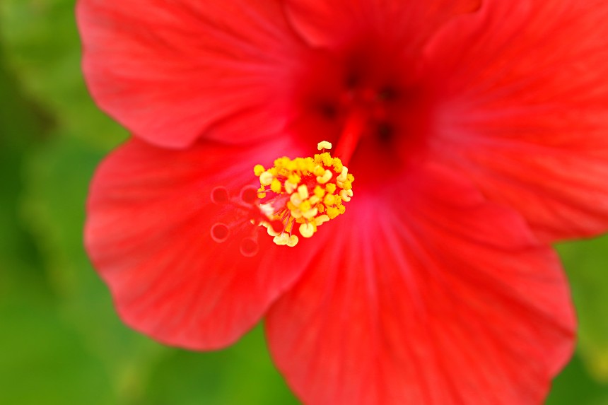 [アートモダンシーサー]が著作権登録されました